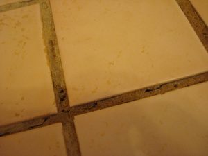 Grout Picture