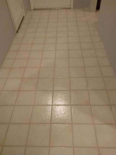 grout-staining